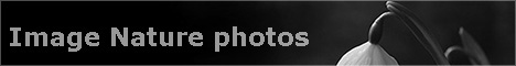 Nature stock photos
