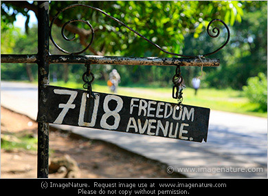 Road sign: 708 FREEDOM AVENUE
