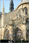 Flying buttress of Notre Dame de Paris cathedral