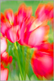 Spring mood in colors abstract image