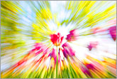 Colorful spring dynamic abstract image